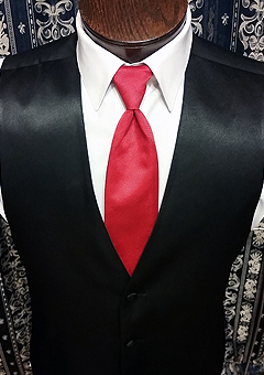 Simply Solids Necktie
